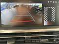 Opel Zafira Life L 2.0 D Aut. 9 Sitze SHZ PDCv+h Grau - thumbnail 19