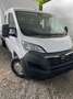Opel Movano Koffer Ladebordwand L4 2.2 CDTI 103 KW Weiß - thumbnail 1