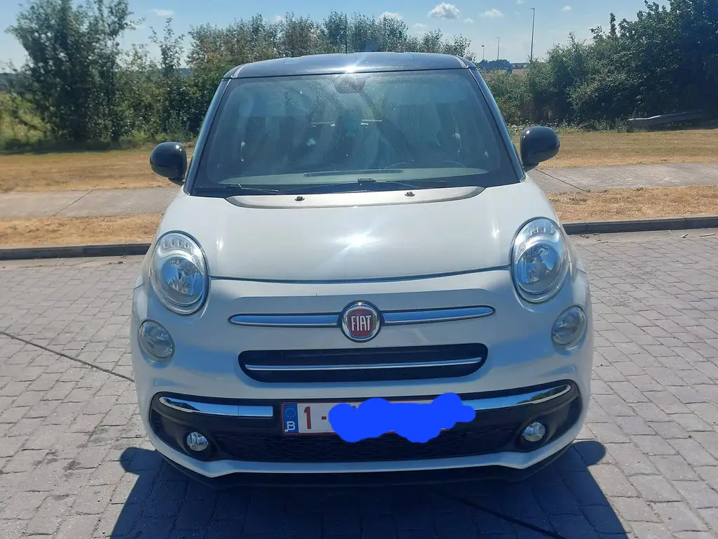 Fiat 500L 2018 из Европы — купить под ключ
