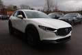 Mazda CX-30 2025 M-Hybrid Prime-Line G-140 *Sofort* NAVI ACAA Wit - thumbnail 6