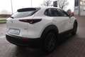 Mazda CX-30 2025 M-Hybrid Prime-Line G-140 *Sofort* NAVI ACAA Blanco - thumbnail 5