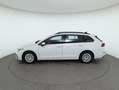 Volkswagen Golf Variant Golf VIII Variant 1.0TSI ASSIST+LED+Virtual+PDC Weiß - thumbnail 10