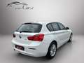 BMW 116 116d Advantage Blanco - thumbnail 7