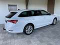 Skoda Octavia Combi 2,0 TDI Style DSG-NAVI COLUMBUS-AHV-ACC-H... Weiß - thumbnail 7