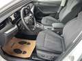 Skoda Octavia Combi 2,0 TDI Style DSG-NAVI COLUMBUS-AHV-ACC-H... Weiß - thumbnail 13