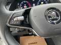 Skoda Octavia Combi 2,0 TDI Style DSG-NAVI COLUMBUS-AHV-ACC-H... Weiß - thumbnail 21