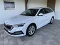 Skoda Octavia Combi 2,0 TDI Style DSG-NAVI COLUMBUS-AHV-ACC-H... Weiß - thumbnail 3