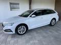 Skoda Octavia Combi 2,0 TDI Style DSG-NAVI COLUMBUS-AHV-ACC-H... Weiß - thumbnail 5