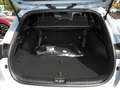 Kia Ceed SW / cee'd SW Ceed SW 1.0T DCT Nightline Navi Kamera Privacy Gris - thumbnail 6