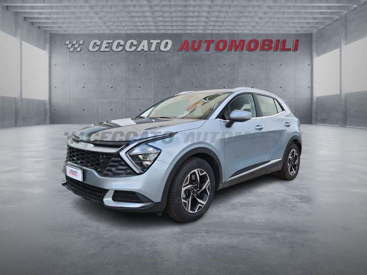 Kia Sportage Sportage 1.6 crdi mhev Business dct