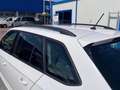Skoda Fabia Wagon 1.0 tsi Design Edition 95cv Bianco - thumbnail 12