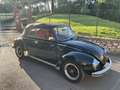 Volkswagen Maggiolino - thumbnail 9