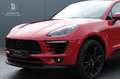 Porsche Macan Macan*Pano*AHK*360°Kamera*PDLS*Bi-Xenon* Rouge - thumbnail 5