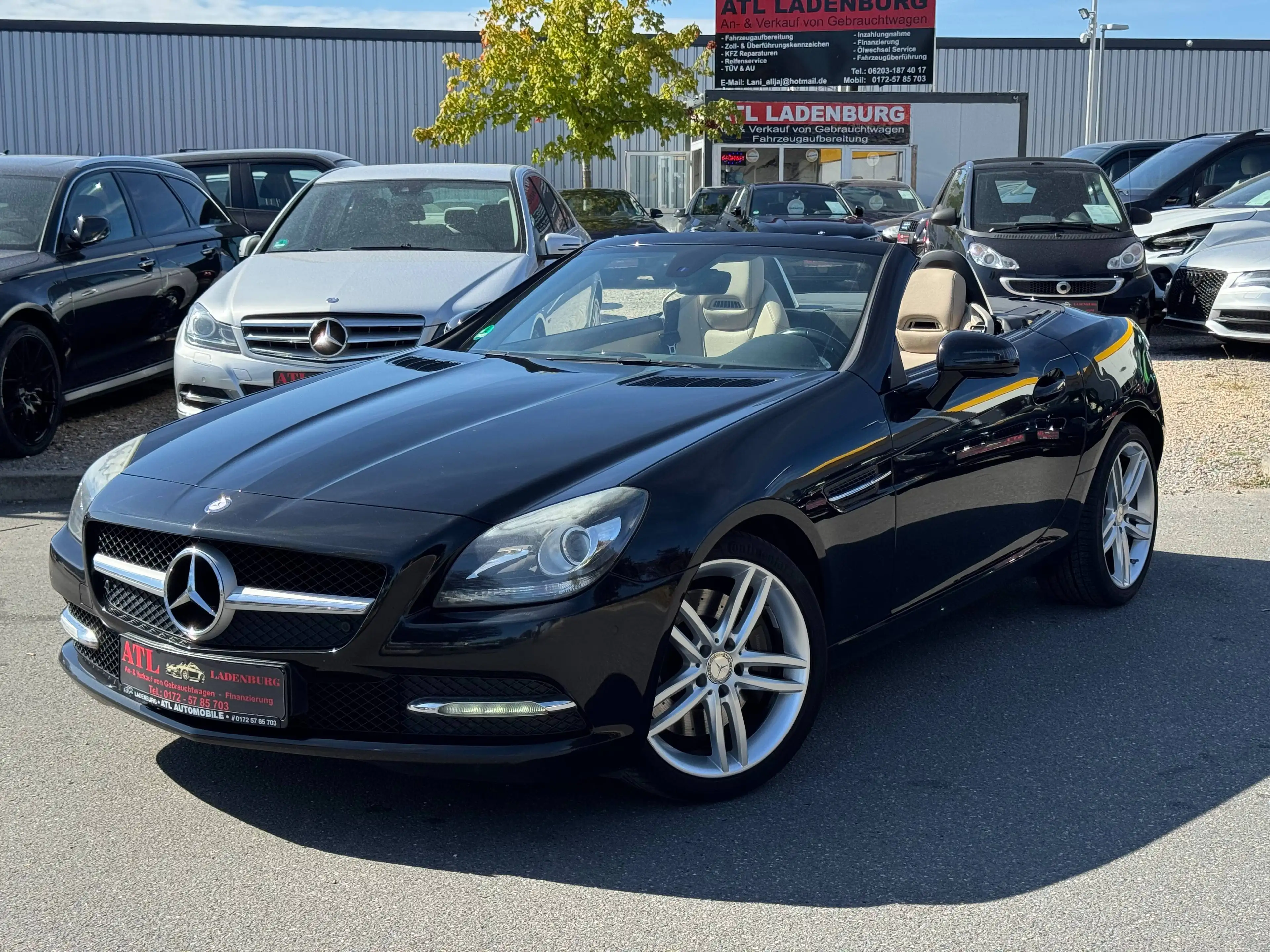 Mercedes-Benz SLK 200 SLK 200 BlueEfficiency (172.448)