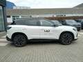 Renault Austral Esprit Alpine Full Hybrid E-Tech 200 Weiß - thumbnail 6
