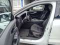 Renault Austral Esprit Alpine Full Hybrid E-Tech 200 Weiß - thumbnail 10