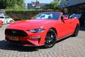 Ford Mustang Convertible 2.3 EcoBoost M6 290pk/213kw Rosso - thumbnail 1