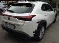 Lexus UX 250h 2.0 Business 2wd cvt Bianco - thumbnail 3