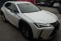 Lexus UX 250h 2.0 Business 2wd cvt Bianco - thumbnail 2