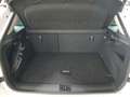 Skoda Kamiq 1.0 TSI Selection OPF Weiß - thumbnail 7