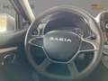 Dacia Spring Essentia - thumbnail 10