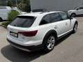 Audi A4 allroad A4 Allroad quattro 2,0 TDI quattro S-tronic Weiß - thumbnail 4