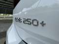 Mercedes-Benz EQB 250+ Business Edition 71 kWh | AMG-line | Nigh Blanco - thumbnail 30
