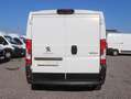 Peugeot Boxer L1H1 Kasten NAVI KAMERA TEL TEMP KLIMA Parksens. Weiß - thumbnail 5
