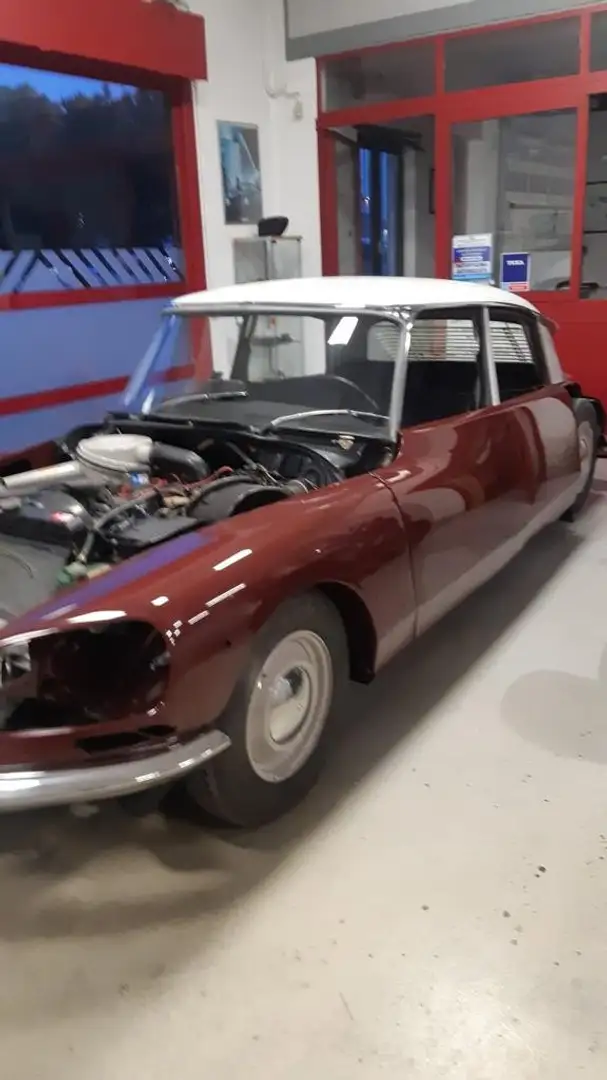 Citroen DS De luxe Rosso - 1