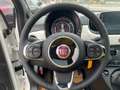 Fiat 500 Dolcevita Mildhybrid, Klimaautomatik, Panodach Weiß - thumbnail 8