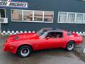 Pontiac Firebird (PCC) 5.0 Liter V8 mit TÜV und H-Zul. Wit - thumbnail 18