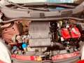 Fiat Panda Panda 1.2 Pop 69cv E6 Rot - thumbnail 9