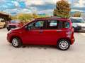 Fiat Panda Panda 1.2 Pop 69cv E6 Rot - thumbnail 4