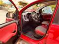 Fiat Panda Panda 1.2 Pop 69cv E6 Rot - thumbnail 10