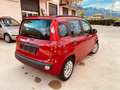 Fiat Panda Panda 1.2 Pop 69cv E6 Rot - thumbnail 6