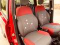 Fiat Panda Panda 1.2 Pop 69cv E6 Rot - thumbnail 19