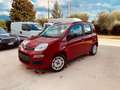 Fiat Panda Panda 1.2 Pop 69cv E6 Rot - thumbnail 3