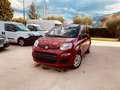 Fiat Panda Panda 1.2 Pop 69cv E6 Rot - thumbnail 2