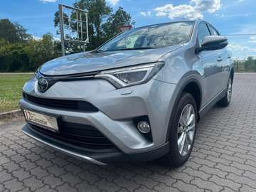 RAV4 Team D