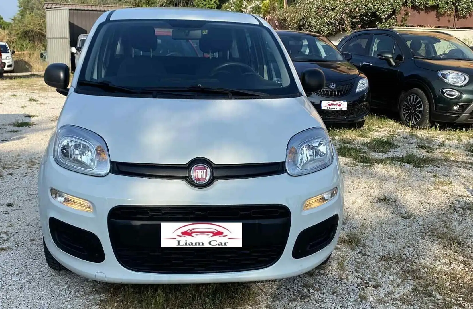 Fiat Panda 1.2 EasyPower Lounge Bianco - 2