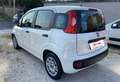 Fiat Panda 1.2 EasyPower Lounge Bianco - thumbnail 3