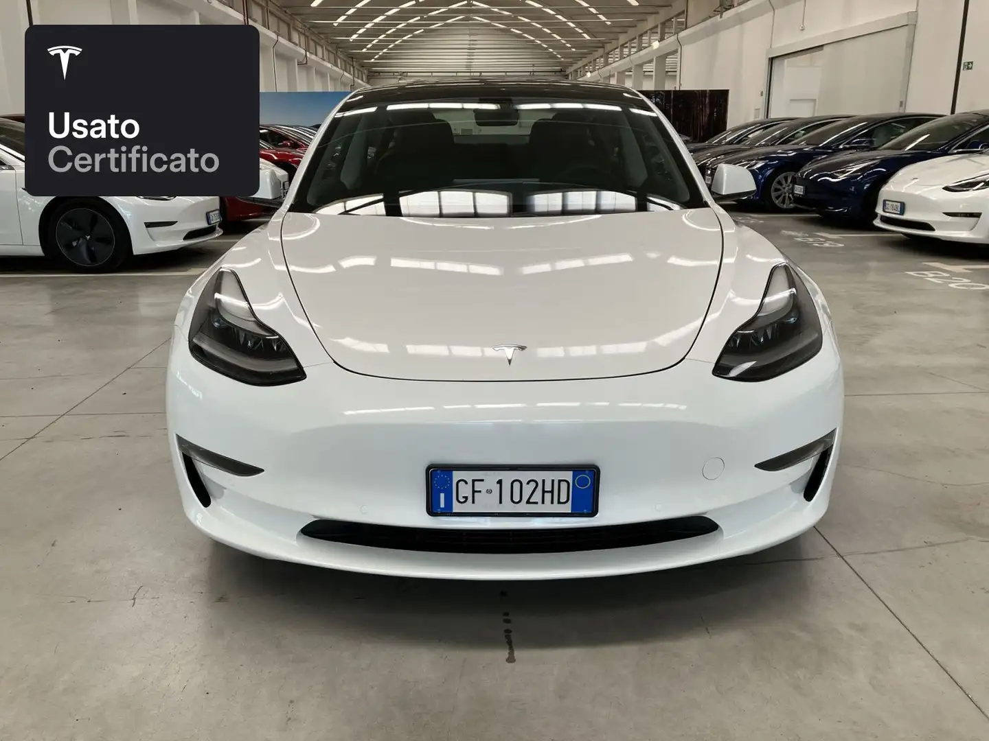 Tesla Model 3 Performance Wit - 2