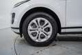 Land Rover Range Rover Evoque 2.0D I4 MHEV HSE AWD Aut. 163 Blanco - thumbnail 11