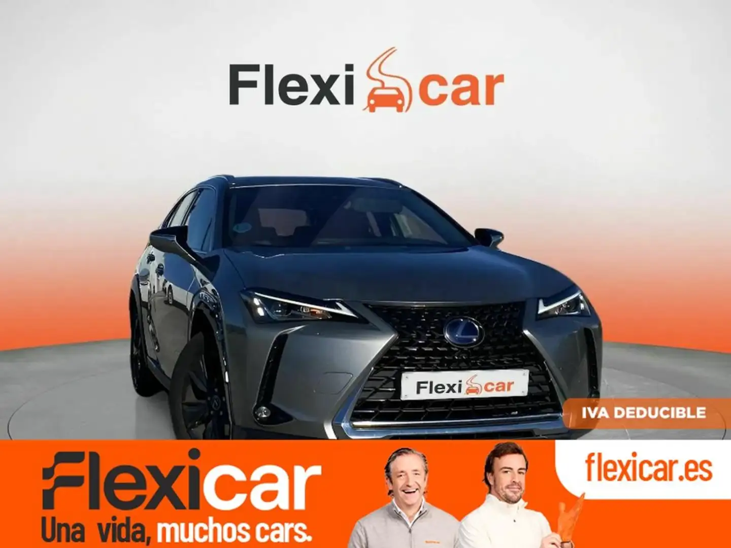 Lexus UX 250h 2.0 Business Gris - 1