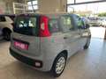 Fiat Panda Panda III 2016 1.2 Easy s Grigio - thumbnail 3