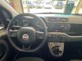 Fiat Panda Panda III 2016 1.2 Easy s Grigio - thumbnail 8