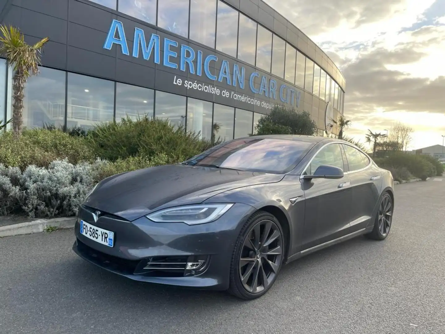 Tesla Model S 100D Dual motor Performance Gris - 1
