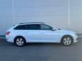 Skoda Superb Superb Combi 2,0 TDI Ambition DSG *AHK*RFK*ACC* Weiß - thumbnail 16
