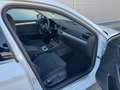 Skoda Superb Superb Combi 2,0 TDI Ambition DSG *AHK*RFK*ACC* Weiß - thumbnail 21