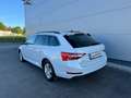 Skoda Superb Superb Combi 2,0 TDI Ambition DSG *AHK*RFK*ACC* Weiß - thumbnail 4